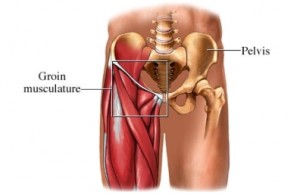 Groin Strain and symptoms of a groin strain