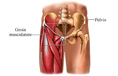 Groin Pain. Structures and conditions that can contribute to groin pain.