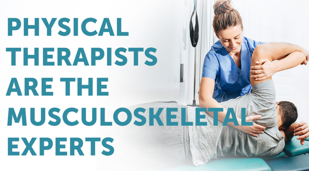 physical therapists are musculoskeletal experts